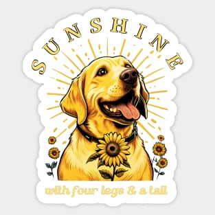 Golden Labrador Sunshine Sticker